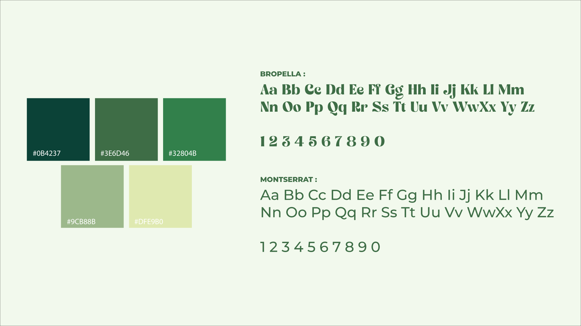 Typographie